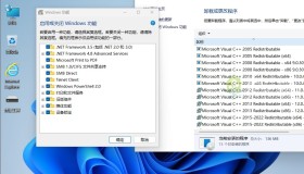 小修Win11 LTSC 26100.4351精简版 小修Win11 LTSC 26100.4351精简版
