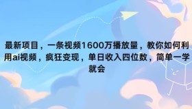 最新项目,一条视频1600万播放量,教你如何利用 ai视频,疯狂变现 最新项目,一条视频1600万播放量,教你如何利用 ai视频,疯狂变现